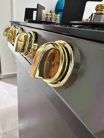 (GOLDVision) غاز التنين 4 عيون مع غطاء وقاعدة - الصورة 4